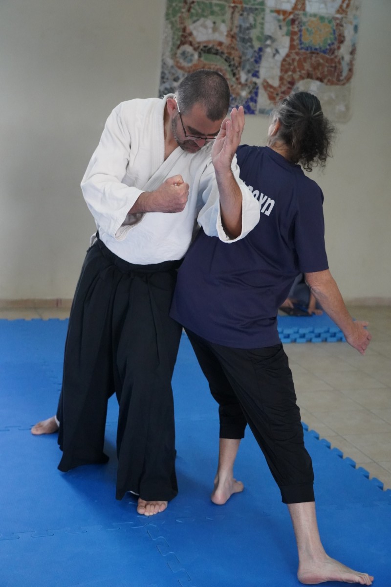 אייקידו